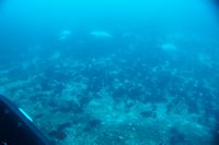 
DSC00080